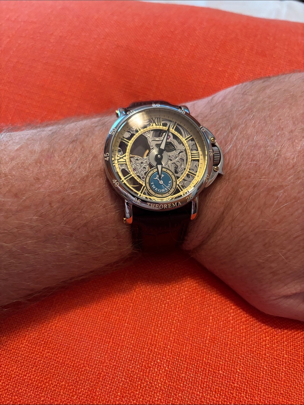 Skeleton Mechanical Watch - Gold & Black